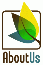 About Us Website designing india,SEO translation,Website development india