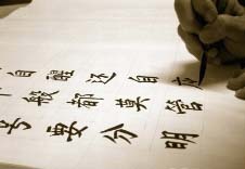 Translation Agency India Translation Agency India,website translation